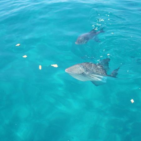 Villetta Best Vacation Ever, Costa Rei Ngoại thất bức ảnh